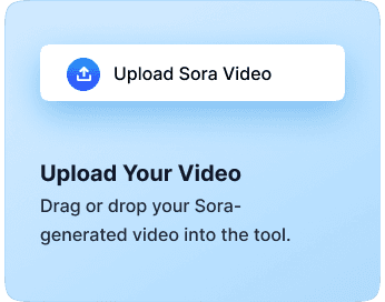 How To Remove a Sora Watermark Using AISEO