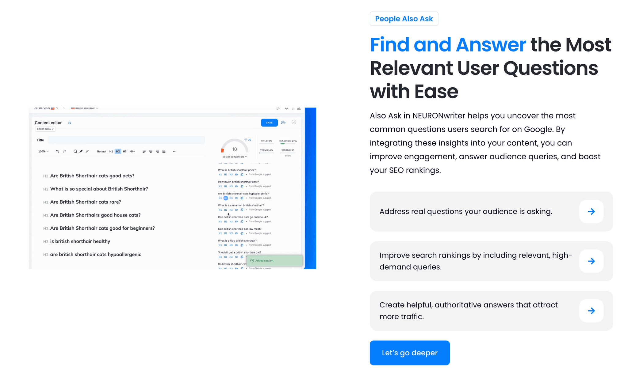 Search Intent Analysis